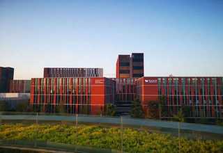 低温等离子净化器供货价格