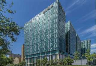 肥锅调味料推荐