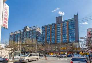 敦化海棠花设计